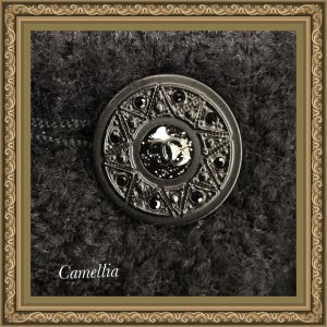 1f55958b-5844-41f5-a0cc-8ad4ca8da13b