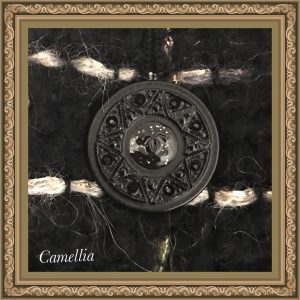 919d798b-c7cc-49a4-8019-c7d5e02825df